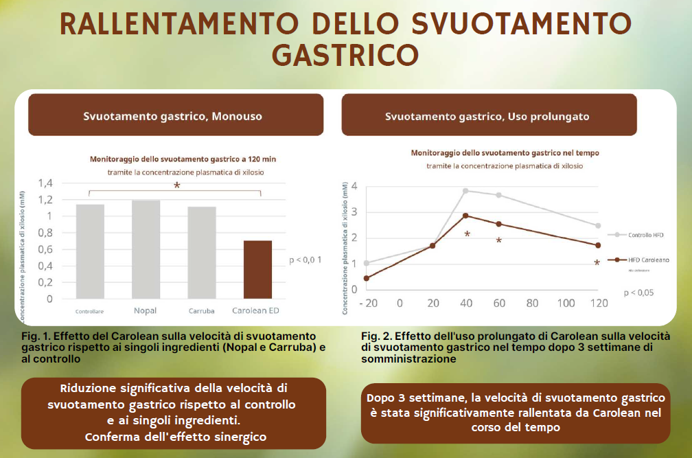 FIBRALIN® SAZIETA' INNOVATIVO FITOCOMPLESSO PER IL CONTROLLO DELL’APPETITO e CONSEGUENTE RIDUZIONE DEL PESO